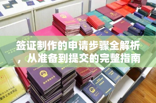 槐荫签证制作的申请步骤全解析，从准备到提交的完整指南